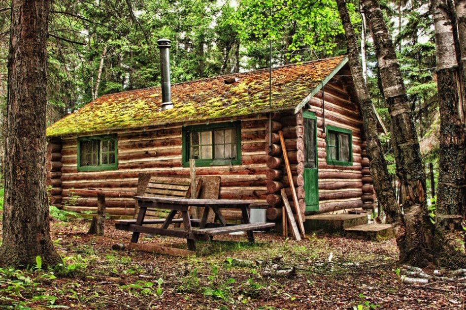 How Many Years Will A Log Cabin Last Quick garden co uk